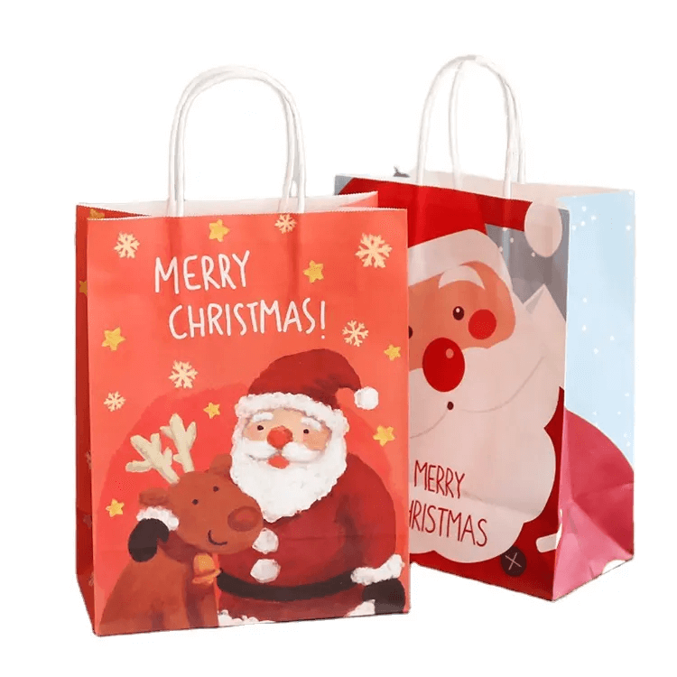 Gift Paper Bag with Carrier handles
